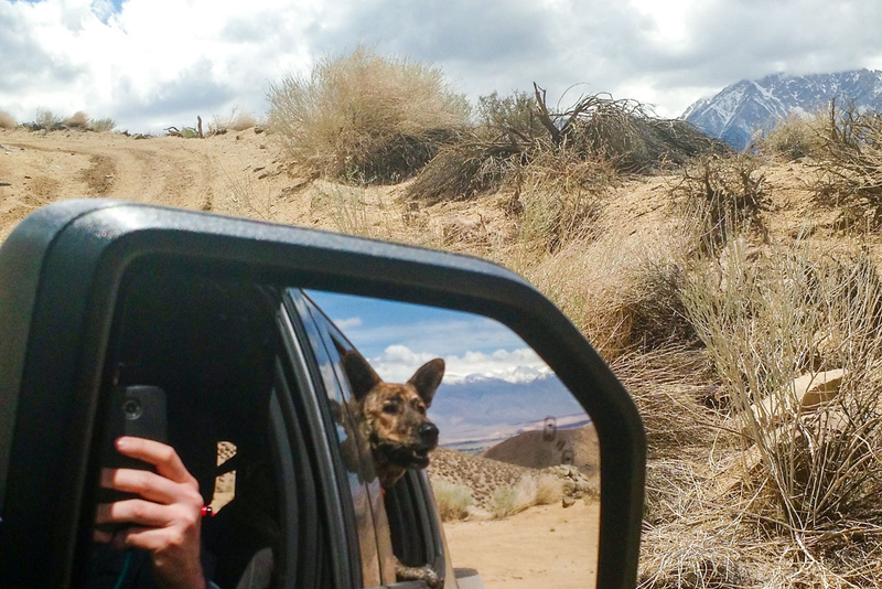 Illustration for article titled Off-Roading Above 10,000 Feet In The 2015 Ford F-150 FX4
